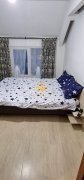 2 camere, modern, bloc nou, Iris Oasului 86-90 Zona Revo, Auchan, LIDL - 3