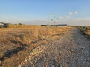 Parcele de vanzare intre Beregsau si Sacalaz. Suprafete intre 600 si 2426 mp.