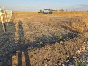 Parcele de vanzare intre Beregsau si Sacalaz. Suprafete intre 600 si 2426 mp. - 2