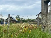 Teren intravilan în Băbana 1575 mp intravilan