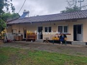 Gospodarie autentic romaneasca-Lunca Corbului, Ciesti! - 4