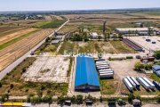 Teren industrial 16.000 mp lângă Autostrada A1 – Căteasca - 5