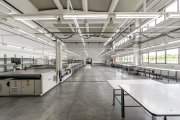 Oportunitate: Hală de producție și depozitare cu birouri în Arad - 5
