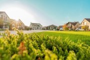 2 parcele alăturate | 823 mp | Westfield Arad - 6