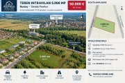 Teren intravilan 5.000 mp | PUZ | Buziaș |10 mp - 5