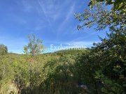 CASA + TEREN 1.002 MP | Stefanesti – Valea Mare Enculescu-Arges - 18