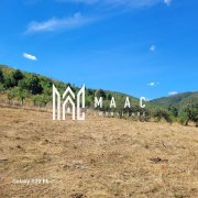 TEREN 5000 MP I SĂLIȘTE I PARCELABIL - 6