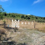 TEREN 5000 MP I SĂLIȘTE I PARCELABIL - 10