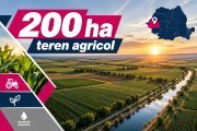 200 ha teren agricol de vanzare in Arad - 4