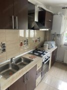 Apartament cu 2 camere de închiriat Colentina,Maior Vasile Bacila - 9