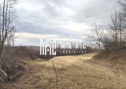 Teren extravilan agricol 1.184 mp | Sibiel | utilități la 100 m - 7