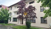 2 camere, bloc nou, parcare, Zorilor, Zona Mircea Eliade, UTCN, UMF - 15