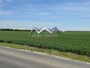 Teren 33.211 mp Tunari – ideal logistică, showroom sau producție - 2