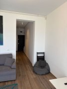 Apartament pet friendly de închiriat 2 cam. - zona Braytim Timisoara - 6