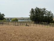 Teren intravilan Miersig, vedere la lac. 12,5 E/mp neg. Comision 0 - 4