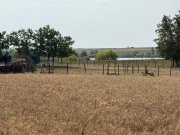 Teren intravilan Miersig, vedere la lac. 12,5 E/mp neg. Comision 0 - 5