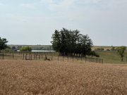 Teren intravilan Miersig, vedere la lac. 12,5 E/mp neg. Comision 0 - 6