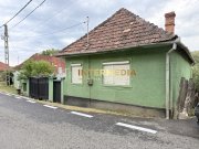 Casă în Cricău cu 1.375 mp teren, anexe, utilități, vie și livadă - Oportunitate - 3
