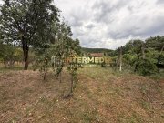 Casă în Cricău cu 1.375 mp teren, anexe, utilități, vie și livadă - Oportunitate - 5