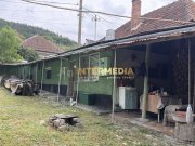 Casă în Cricău cu 1.375 mp teren, anexe, utilități, vie și livadă - Oportunitate - 9