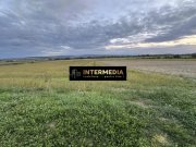 OKAZIE ! 2300 mp. Teren Intravilan Mereteu lat 22 m toate utilitatiile in fata - 3