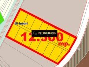 Vanzare Teren Intravilan 12500 mp PUZ aprobat construire Case Paclisa - 3