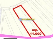 Teren Intravilan Constr Industriale 11800 mp PUZ utilitati Zona Carolina Mall