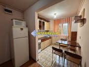 Apartament cu o camera de inchiriat Cetate etaj 2