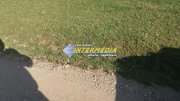 Teren Intravilan de vanzare in Partos 450 mp 30 euro/mp
