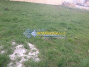 OCAZIE ! - Teren intravilan de vanzare 1000 mp Alba Iulia Paclisa