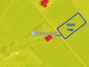 Teren intravilan de vanzare 1000mp Sard Alba, utilitati