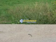 Teren Intravilan 600 mp in zona Alba Micesti, parcele diverse