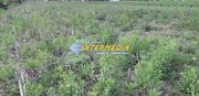 Teren Intravilan de Vanzare 940 mp cu utilitati - 3