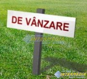 Teren de vanzare Sard langa Padure 10.000 - 50.000 mp. la 3 Euro/mp