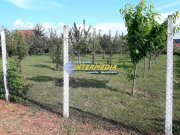 Teren Intravilan 481mp Alba Micesti, utilitati - 2