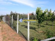 Teren Intravilan 481mp Alba Micesti, utilitati - 4
