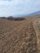 Teren extravilan de vanzare in suprafata de 15800 mp in Salistea, judet Alba