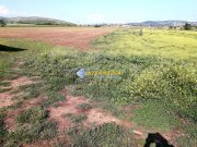 Teren Intravilan de vanzare 3550 mp Alba-Micesti