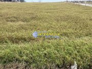 Teren Intravilan de vanzare 552 mp. Alba Zona Dealul Furcilor cu PUZ si toatae utilitatile - 5