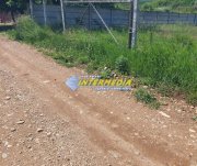 Teren intravilan 1400 mp,  Alba Micesti cu utilitati in fata