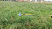Teren intravilan de vanzare  875 mp Alba Iulia zona Alba Micesti