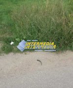 Teren intravilan de vanzare  875 mp Alba Iulia zona Alba Micesti - 3
