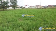 Teren Intravilan 1243 mp zona CETATE Piata cu deschidere 62 m si utilitati
