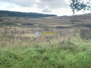Teren intravilan de vanzare 1248 mp d=15 mTeleac cu utilitati panorama deosebita