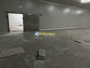 HALA DE INCHIRIAT I 2100 MP I ALBA IULIA I ZONA CENTRU I - 9