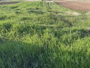 Teren Intravilan de vanzare in Alba Iulia zona Micesti in suprafata de 1077 mp