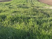 Teren Intravilan de vanzare in Alba Iulia zona Micesti in suprafata de 1077 mp - 2