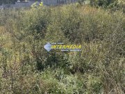 Teren intravilan I de vanzare I in Cetate I zona superba I 500 mp I