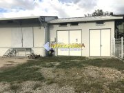 HALA CU MULTIPLE ACTIVITATI I 265  MP I TEREN 608 MP I Alba Iulia I - 2