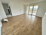 CASA NOUA I 4 CAMERE I 2 BAI I BUCATARIE I 500 MP TEREN I FINISATA I - 3